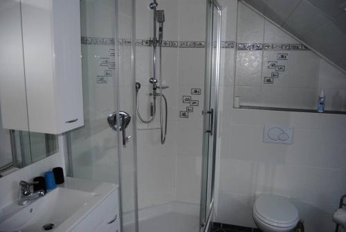W łazience znajduje się prysznic, toaleta i umywalka. w obiekcie Ferienwohnung Arnold w mieście Vöhl