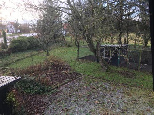 a view of a yard with a tree at Harvey`s Bed & Breakfast in Hjørring
