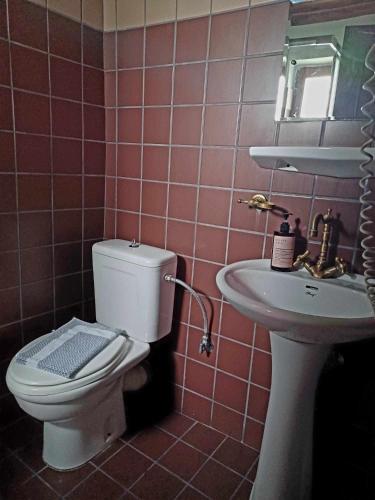 a bathroom with a toilet and a sink at En Chora Vezitsa in Vitsa