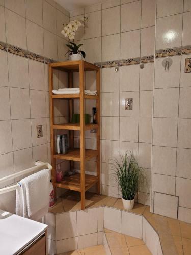Ferienwohnung Hahn Graz (souterrain)