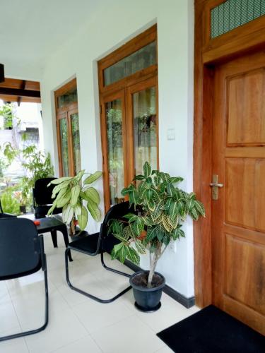 a front door with chairs and a potted plant at Kithmi Resort in Polonnaruwa