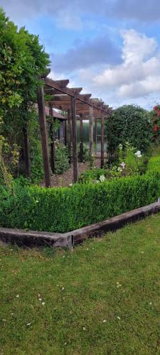 Κήπος έξω από το Garden Studio