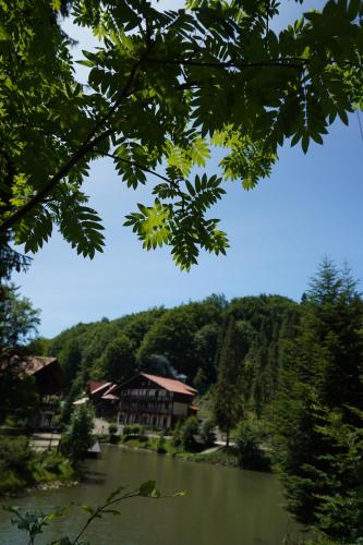 Gallery image of Hotel Ozero Vita in Nizhniy Studenyy