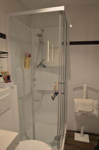y baño con ducha y puerta de cristal. en An's seaview Middelkerke, en Middelkerke