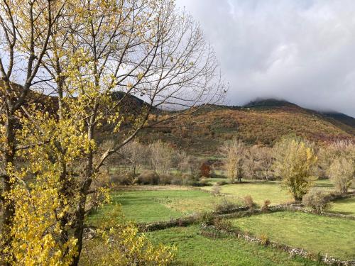a view of a field with a mountain in the background at Alojamiento esqui montaña Cofiñal in Cofiñal