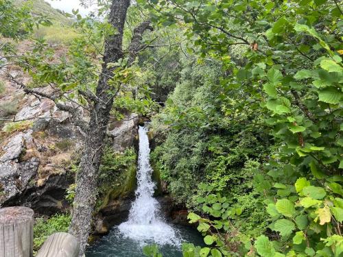 a waterfall in the middle of a river with trees at Alojamiento esqui montaña Cofiñal in Cofiñal