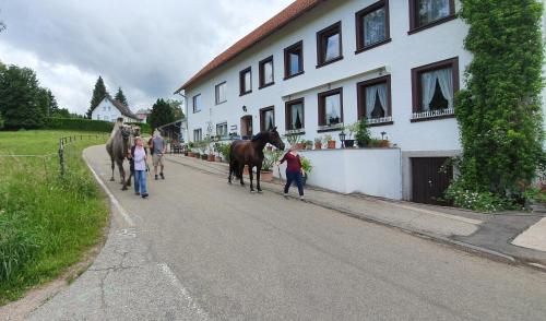 a group of people walking down a street with two horses at Gästehaus Wilder Mann in Bonndorf im Schwarzwald