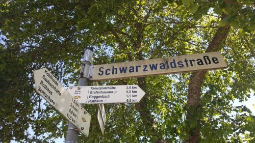 a street sign for seymour zwaldride with street signs at Gästehaus Wilder Mann in Bonndorf im Schwarzwald