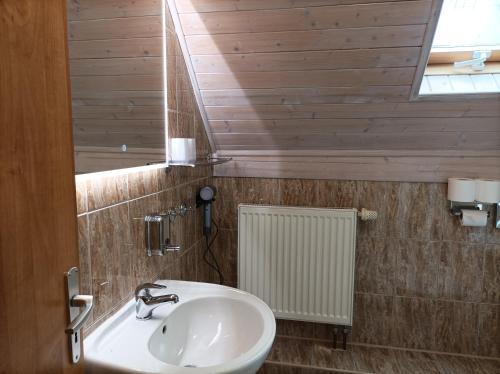 uma casa de banho com um lavatório e um espelho em Pension DORO em Cerný Dul