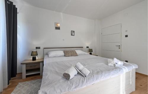 Katil atau katil-katil dalam bilik di Stunning Home In Jurovcak With Kitchen