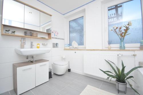 a bathroom with a sink and a toilet and a window at BA01-RI Apartment bei Bamberg in Reckendorf