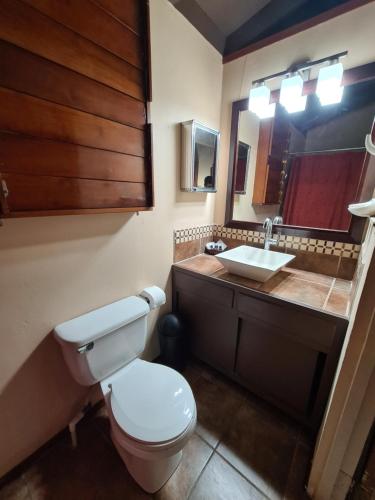 bagno con servizi igienici, lavandino e specchio di Yocamatsu a Caye Caulker