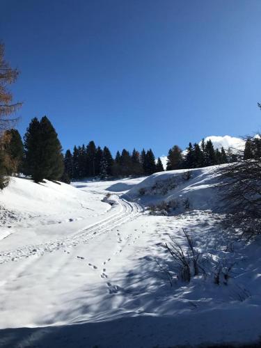 a snowy field with footprints in the snow at Marlingsuites - Vinea - Wieser Josef - Marling in Marlengo
