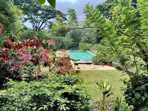 a swimming pool in a garden with flowers and trees at GlenMyu Estate in Haputale