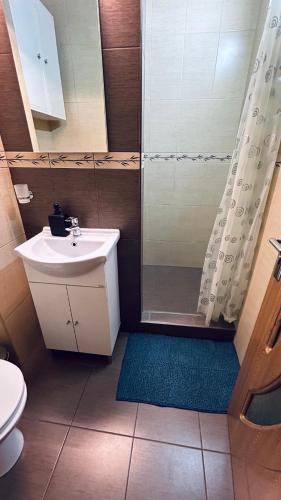 a small bathroom with a sink and a shower at Henriett’s cosy places in Satu Mare