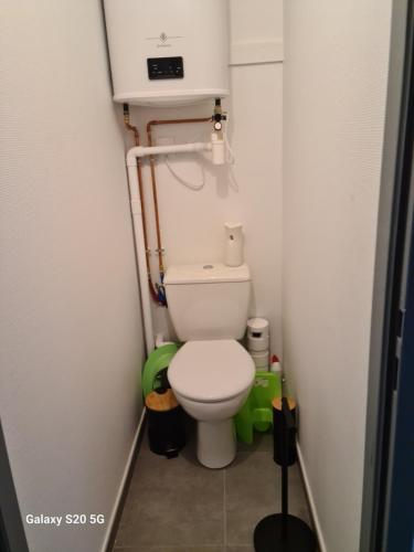a small bathroom with a toilet in a room at Serrimmo - appartement Bérangère in Bléneau