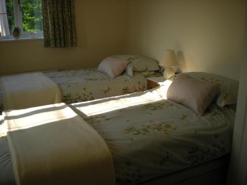two beds in a bedroom with the sun shining on them at Hillside Cottage in Ledbury