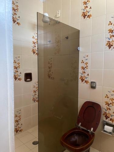 坎皮纳斯Estações的带马桶和玻璃淋浴间的浴室