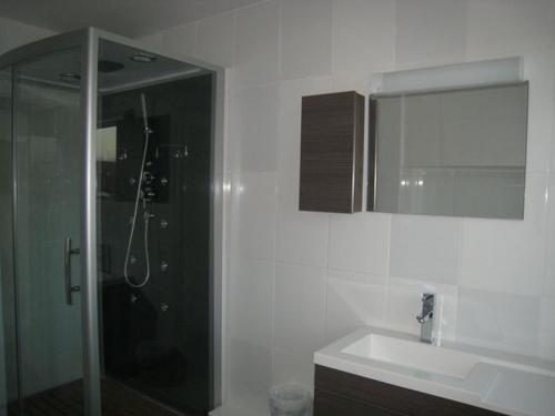 La salle de bains est pourvue d'une douche, d'un lavabo et d'un miroir. dans l'établissement Villa Face Mer, à Audresselles