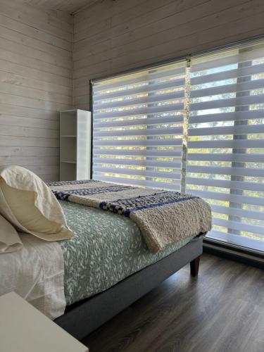 a bedroom with a bed and a window with blinds at Tiny House & Loft House in Panguipulli