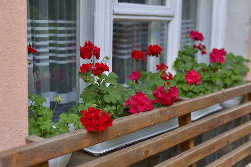 a window box with red flowers on a window sill at Садиба BETWEEN MOUNTAINS in Mizhhirʼʼya