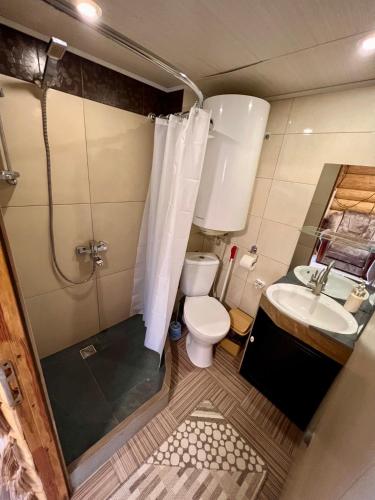 a small bathroom with a toilet and a sink at Садиба BETWEEN MOUNTAINS in Mizhhirya