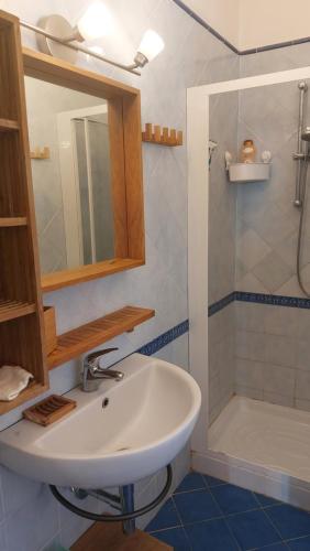 La salle de bains est pourvue d'un lavabo et d'une douche. dans l'établissement Mare e Monti, à Porto Ercole
