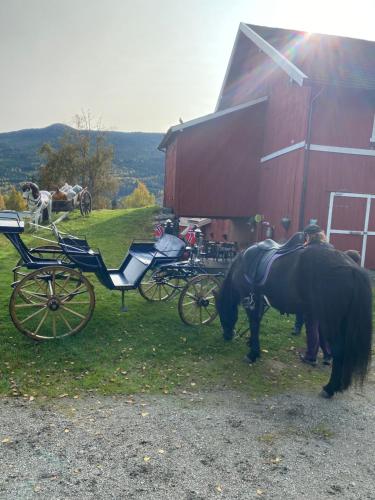 zwei Pferde stehen neben einer Pferdekutsche in der Unterkunft Hesla Farm in Gol