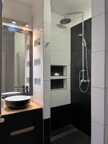 La salle de bains est pourvue d'un lavabo et d'une douche. dans l'établissement Corporal Apartment Budapest, à Budapest