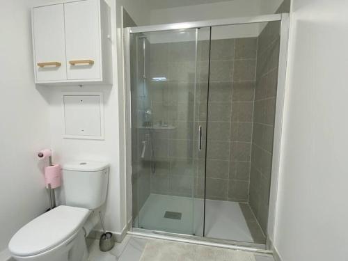 een badkamer met toilet en glazen douche bij Fantastique 2 pièces à Créteil in Créteil