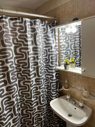 a bathroom with a sink and a shower curtain at MS Hotel Campos 26 in Ushuaia