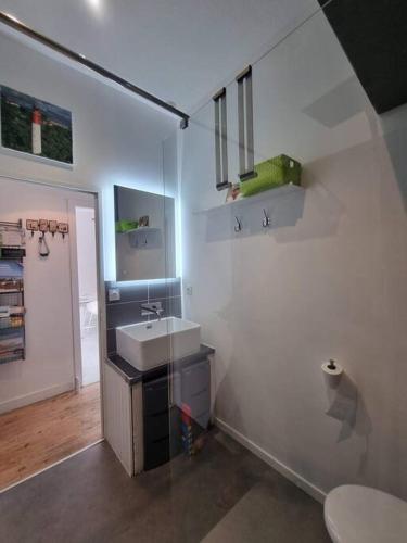 une salle de bain avec un lavabo et des toilettes dans l'établissement La cabane du Betey - Maison typique du bassin 150 m de la plage, à Andernos-les-Bains