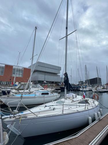 a group of boats docked in a harbor at Nuit insolite sur un bateau au Havre in Le Havre