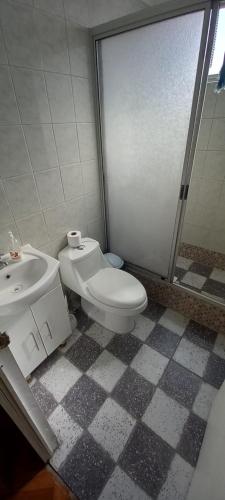 y baño con aseo, lavabo y ducha. en Cabañas Alma Changa Atacama, en Caldera
