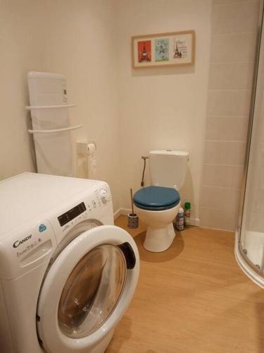 une salle de bain avec machine à laver et toilettes dans l'établissement Gîte de charme à proximité de Fontainebleau et Moret sur Loing, à Valence-en-Brie
