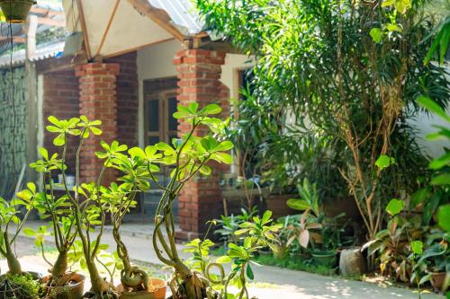 Green Garden Resort في هارابانا: منزل أمامه مجموعة من النباتات