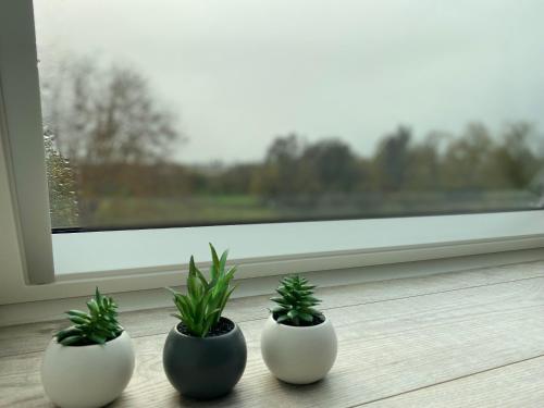 three plants in pots sitting on a window sill at Les Rives des Habsbourg in Ensisheim