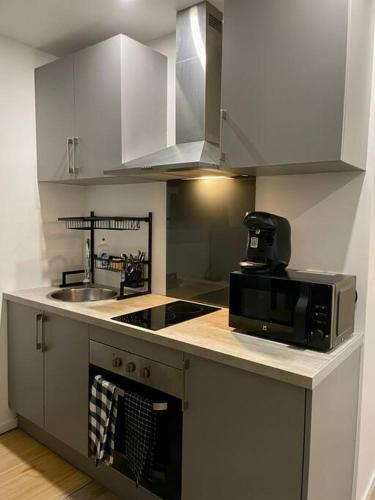 Il comprend une cuisine équipée d'un four micro-ondes et d'un évier. dans l'établissement L’essentiel, à Amiens