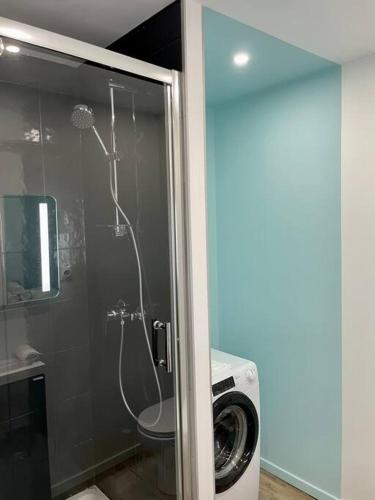 une salle de bain avec douche et machine à laver dans l'établissement L’essentiel, à Amiens