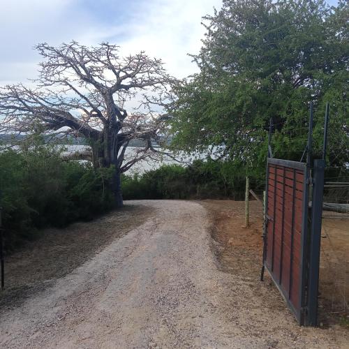 a gate on a dirt road with a tree at Ali Lewa Tours in Mombasa