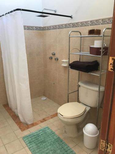 y baño con aseo y ducha con cortina de ducha. en Casa "La 44" en Mérida