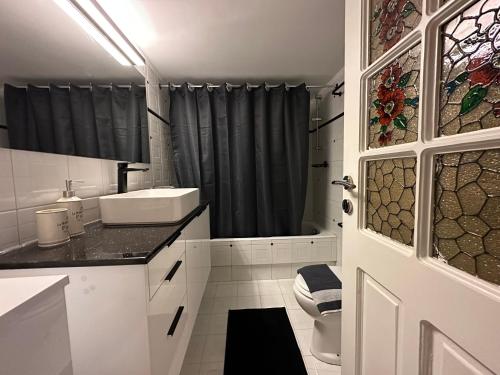 比雷埃夫斯的住宿－Cozy Faliro home，一间带水槽、卫生间和淋浴的浴室