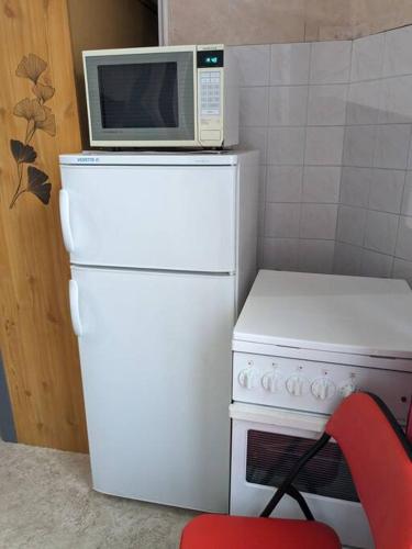 Elle comprend un four micro-ondes et un réfrigérateur à côté d'une cuisinière. dans l'établissement Le nid, à La Bourboule