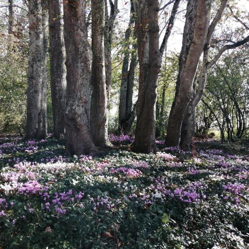 Domaine de Préfond – Photos 2