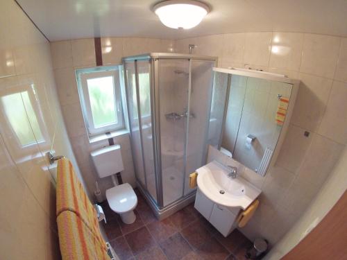 a bathroom with a shower and a sink and a toilet at Schoner Erika in Oberau