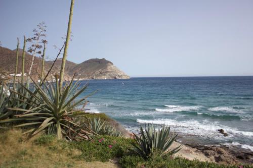 una spiaggia con vista sull'oceano di Casa Luz a El Pozo de los Frailes