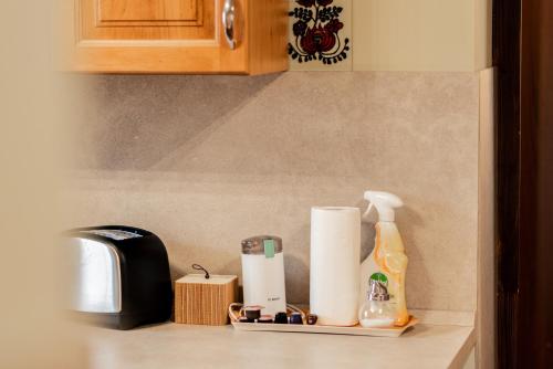 a kitchen counter with a shelf with toiletries on it at Dió Vendégház in Mezőkövesd