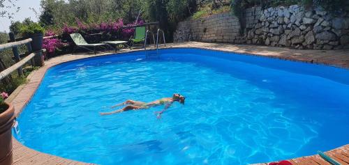a woman swimming in a large blue swimming pool at Agriturismo Fattoria Terranova in SantʼAgata sui Due Golfi