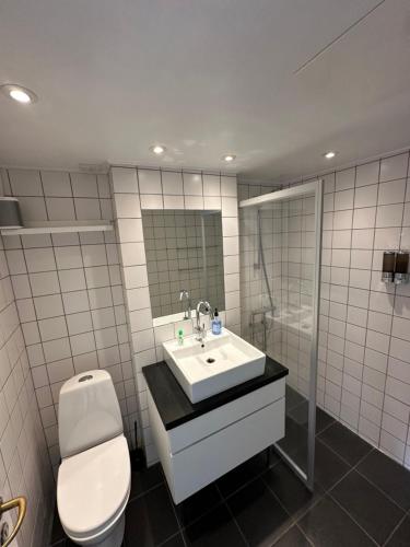 een badkamer met een wastafel, een toilet en een spiegel bij Central, Historical, Unique & Modern Apartment CPH in Kopenhagen