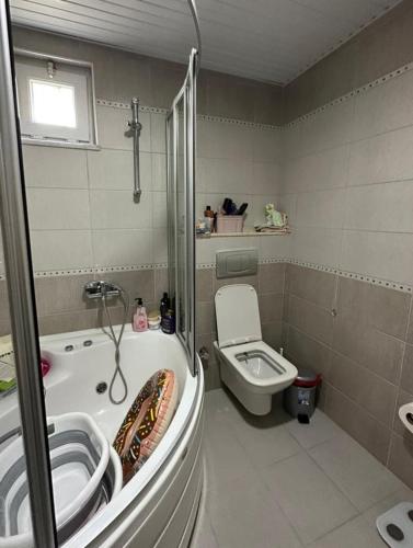 Vonios kambarys apgyvendinimo įstaigoje Alkale